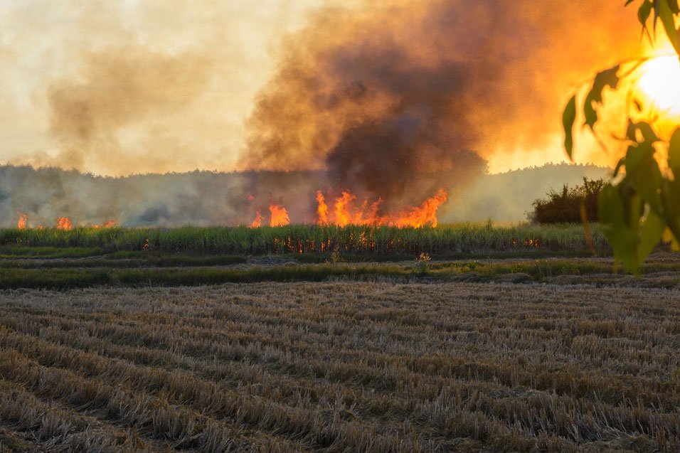 Ação Indenizatória por Incêndio em Propriedade Rural